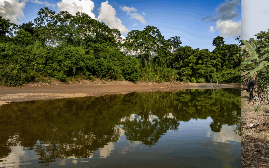Por un desarrollo energético sin incrementar zonas de sacrificio social y ambiental